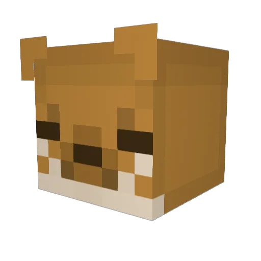 BUTTERSCOTCH411 Minecraft avatar head, 3D render