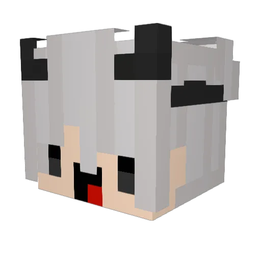 BWDV Minecraft avatar head, 3D render