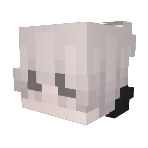 BWHJ Minecraft avatar head, 3D render