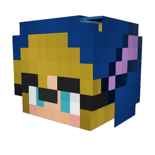 BWRoCkS2001 Minecraft avatar head, 3D render