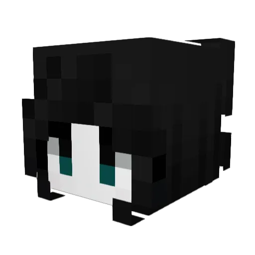 BWS_TH Minecraft avatar head, 3D render