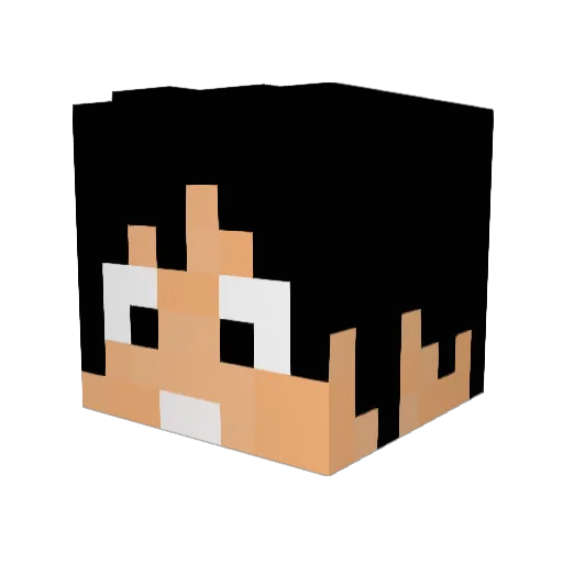BW_Schwitzer Minecraft avatar head, 3D render