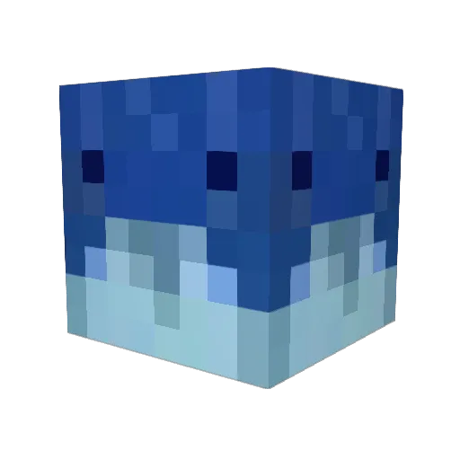 BWhale_ Minecraft avatar head, 3D render