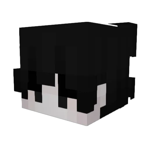 BWkacperek_A60 Minecraft avatar head, 3D render