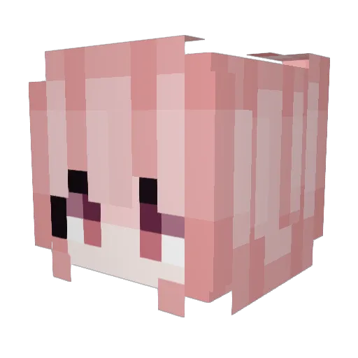 BYEORI_ Minecraft avatar head, 3D render
