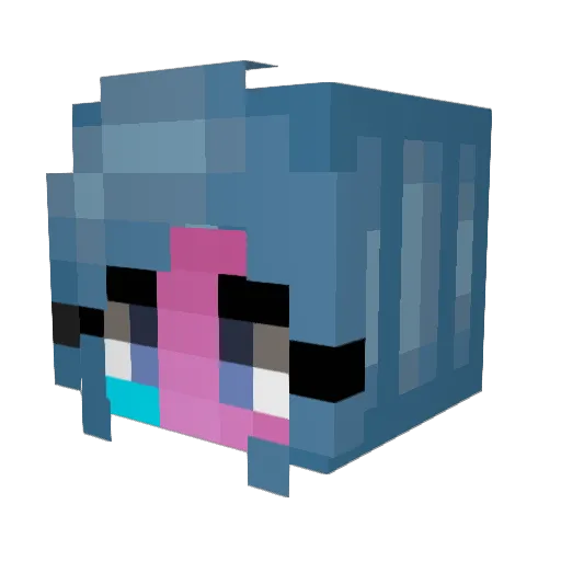 BYPASSINGPASZNE Minecraft avatar head, 3D render