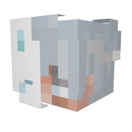 BYTHIERRYFLOWW Minecraft avatar head, 3D render
