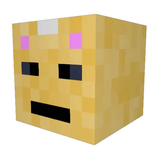 BYUElite Minecraft avatar head, 3D render