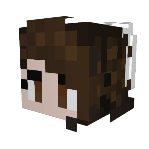 B_BunBun Minecraft avatar head, 3D render