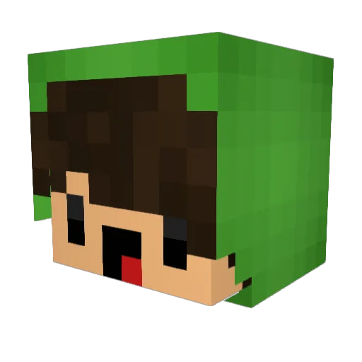 B_DOG123 Minecraft avatar head, 3D render