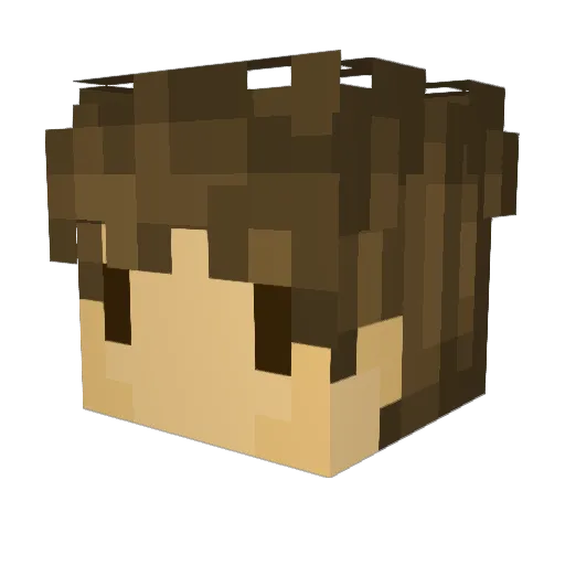 B_Dunce Minecraft avatar head, 3D render