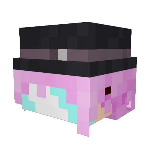 B_Koi Minecraft avatar head, 3D render