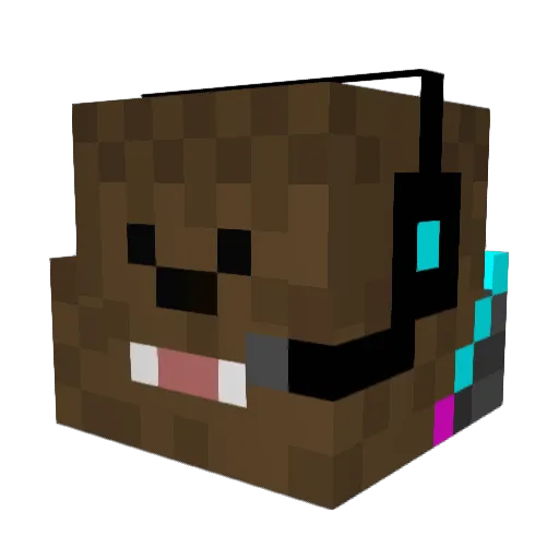 B_Nation Minecraft avatar head, 3D render