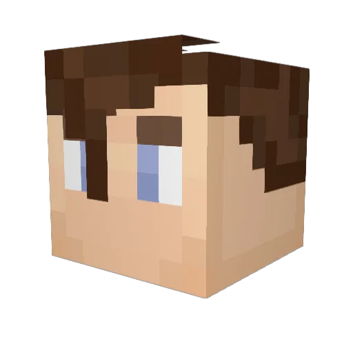 B_Raddles Minecraft avatar head, 3D render