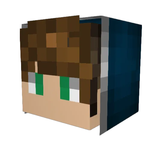 B_dubs417 Minecraft avatar head, 3D render