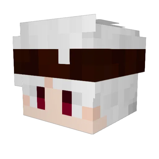B_lack9 Minecraft avatar head, 3D render