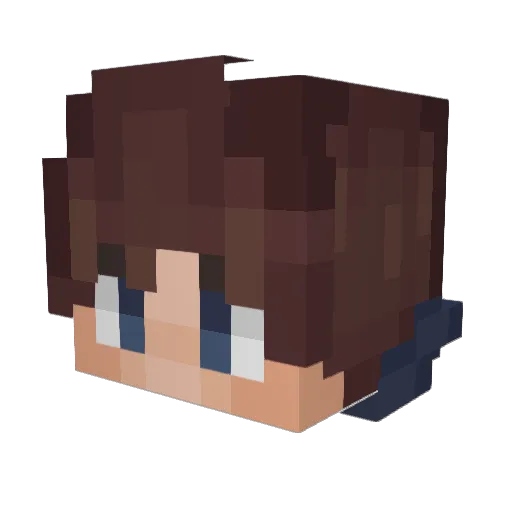 B_money01 Minecraft avatar head, 3D render