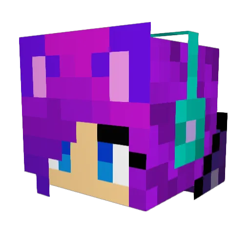 B_rgit Minecraft avatar head, 3D render