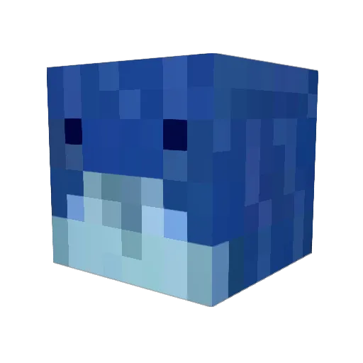 B_whale Minecraft avatar head, 3D render