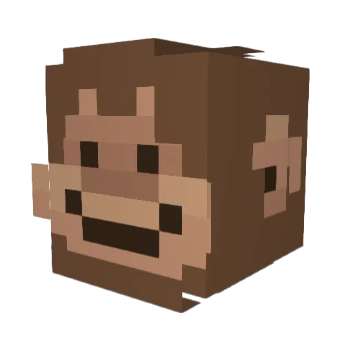 Ba2sgn Minecraft avatar head, 3D render