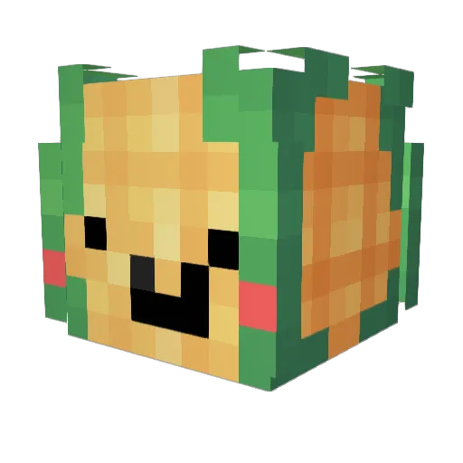BaBo0219 Minecraft avatar head, 3D render