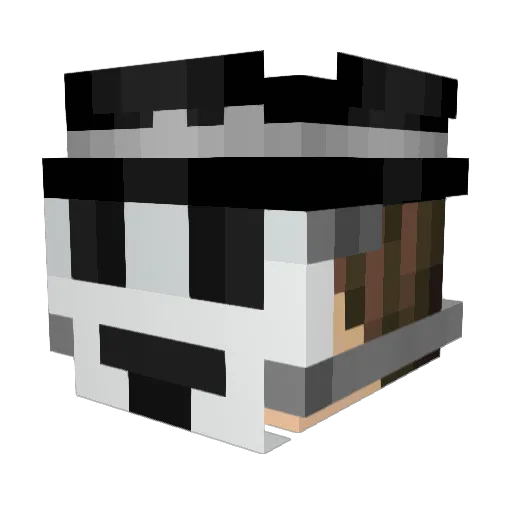 BaD91 Minecraft avatar head, 3D render