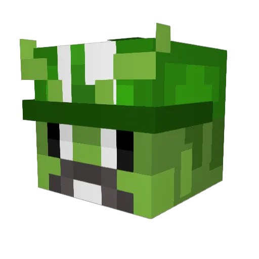 BaFloo Minecraft avatar head, 3D render