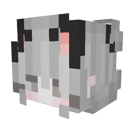 BaJie_Ya Minecraft avatar head, 3D render