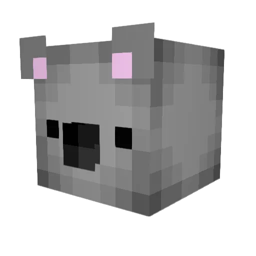 BaKedbeans79 Minecraft avatar head, 3D render