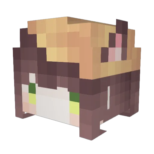 BaWan1024 Minecraft avatar head, 3D render