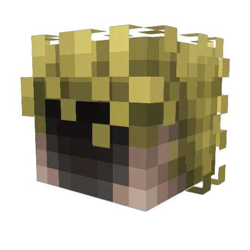 BaZq_492 Minecraft avatar head, 3D render