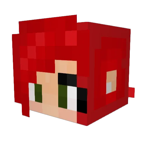 Ba_DoinkaDoink Minecraft avatar head, 3D render