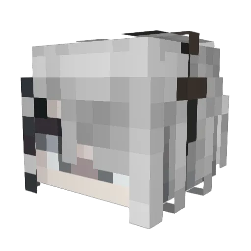 Ba_Yi_ Minecraft avatar head, 3D render