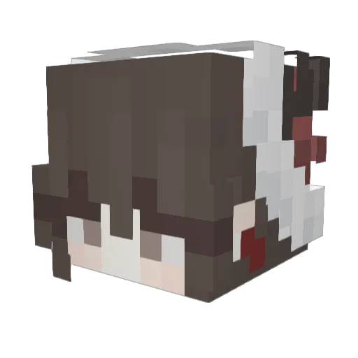 Ba_bam_baa Minecraft avatar head, 3D render