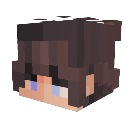 BaaScotty Minecraft avatar head, 3D render