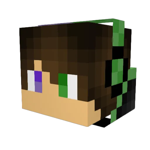 Baa_an Minecraft avatar head, 3D render