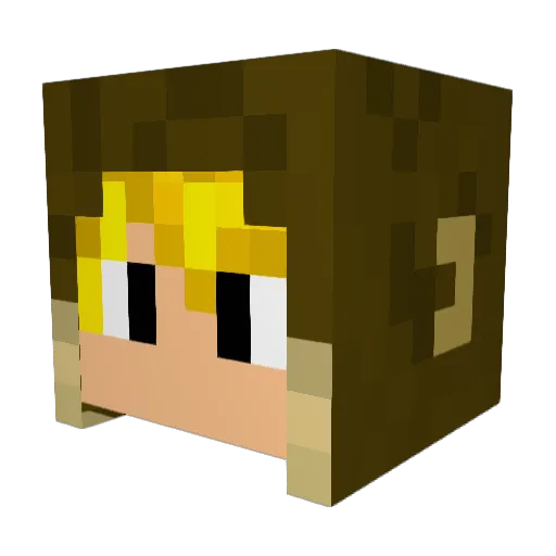 BaapAap420 Minecraft avatar head, 3D render