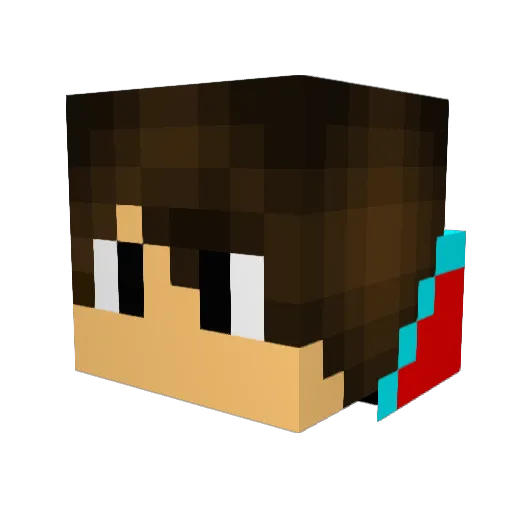 Baarmoederwand Minecraft avatar head, 3D render