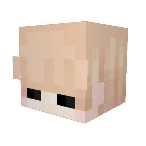 BaaronPVP Minecraft avatar head, 3D render