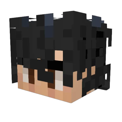 Baasiix Minecraft avatar head, 3D render