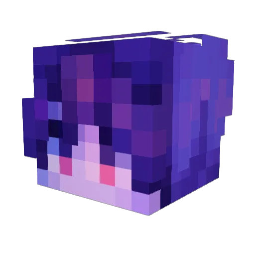 Bab511 Minecraft avatar head, 3D render