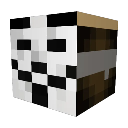 Baba_FarFar Minecraft avatar head, 3D render