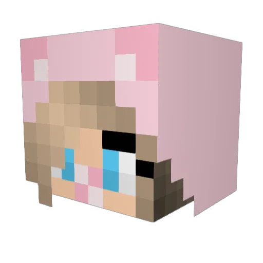 Babahasel Minecraft avatar head, 3D render
