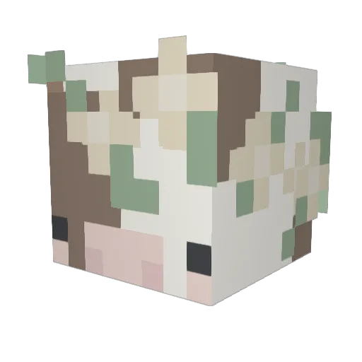 Babalou06 Minecraft avatar head, 3D render