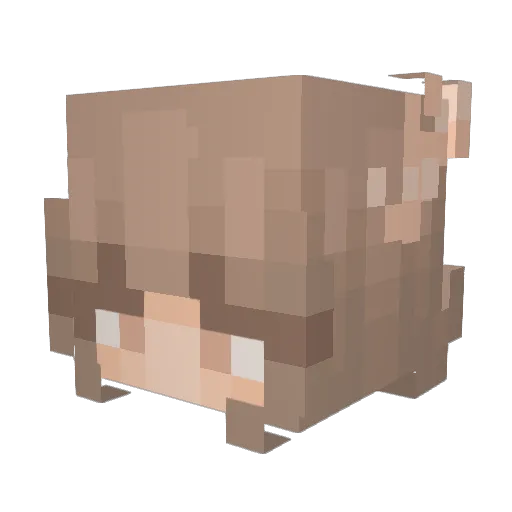 Babasar09 Minecraft avatar head, 3D render