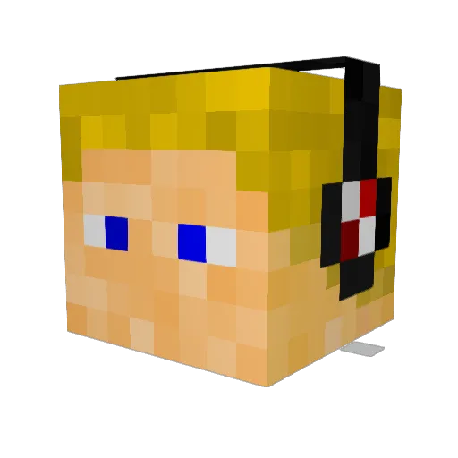 Babba55 Minecraft avatar head, 3D render