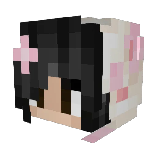 BabehRoses_808 Minecraft avatar head, 3D render