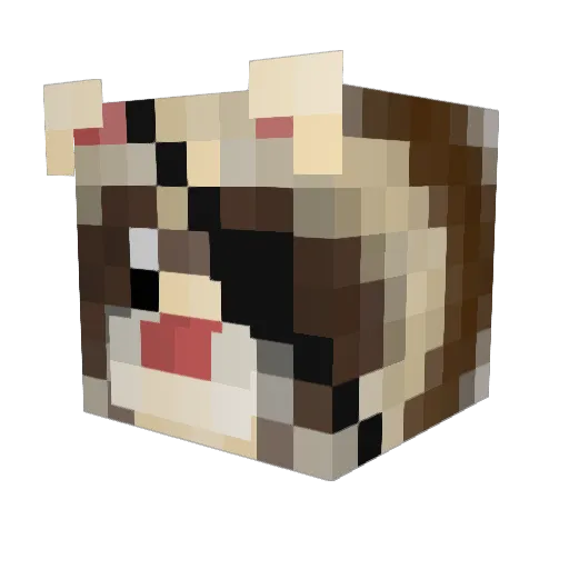 Baberhead7 Minecraft avatar head, 3D render