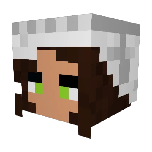 BabiesInTheOven Minecraft avatar head, 3D render
