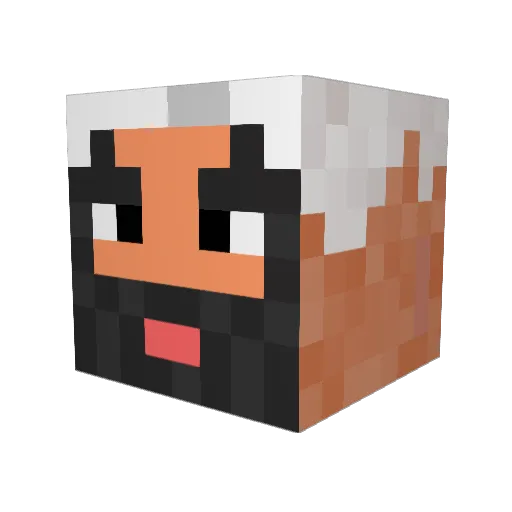 Babli_ Minecraft avatar head, 3D render